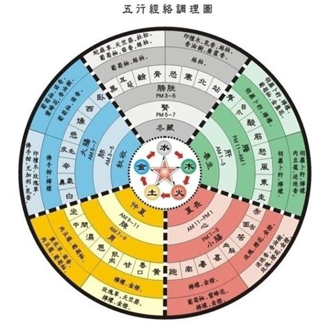 五術命格|山、醫、命、相、卜：這傳統五術說的到底是啥？